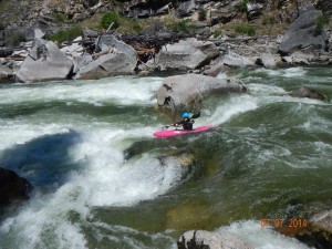 fall creek, south fork salmon