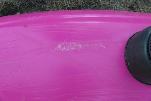 IMG_0505
