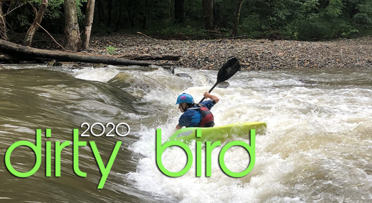dirty bird confidence series 2020